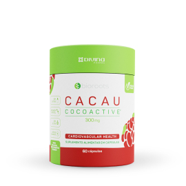 Cacau Cocoactive 300mg com 60 Unidades - Bioroots